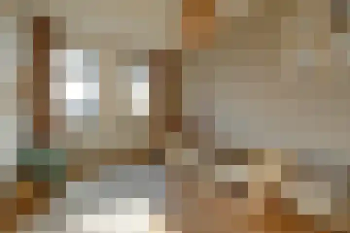 Plataan 3 Cuijk thumbnail 27