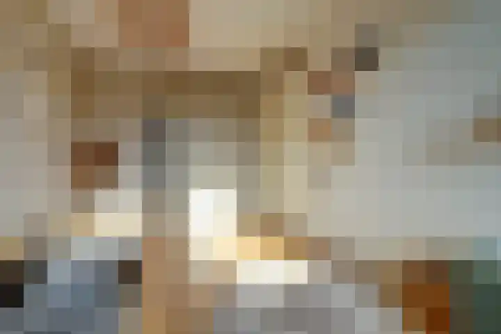 Plataan 3 Cuijk thumbnail 28