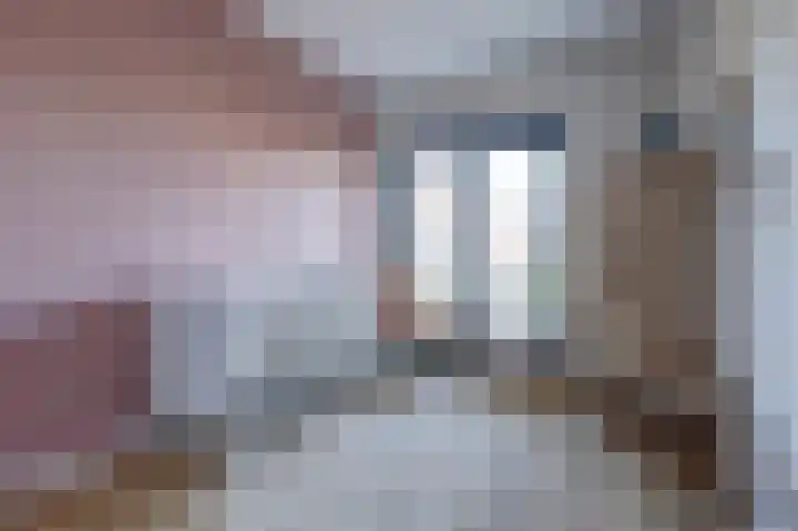 Plataan 3 Cuijk thumbnail 29