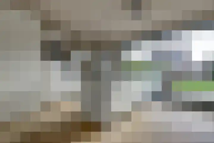 Plataan 3 Cuijk foto 3