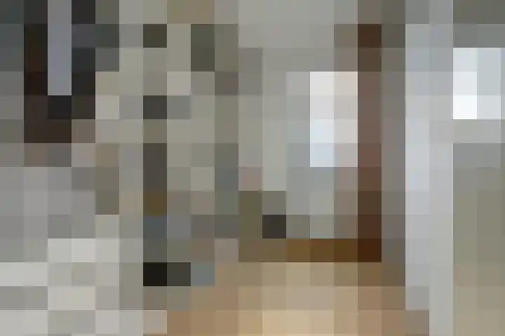 Plataan 3 Cuijk thumbnail 31