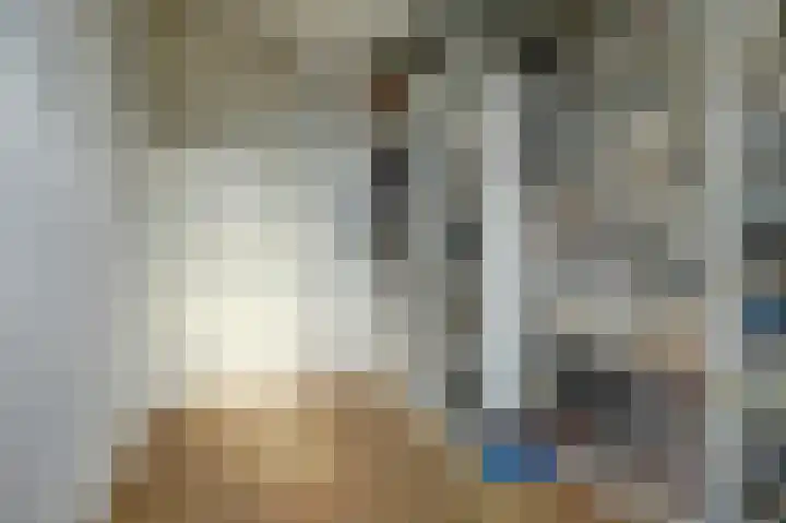 Plataan 3 Cuijk thumbnail 32