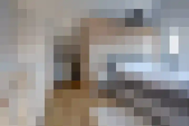 Plataan 3 Cuijk thumbnail 36