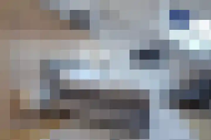 Plataan 3 Cuijk thumbnail 37