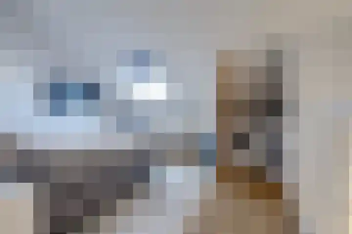Plataan 3 Cuijk thumbnail 38