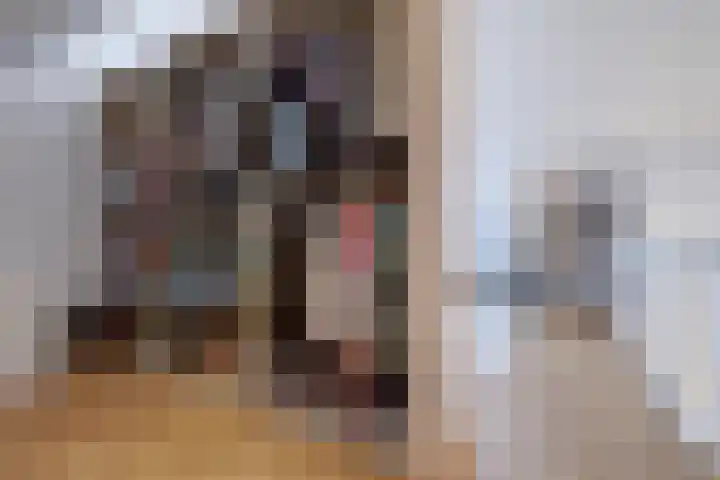 Plataan 3 Cuijk thumbnail 40