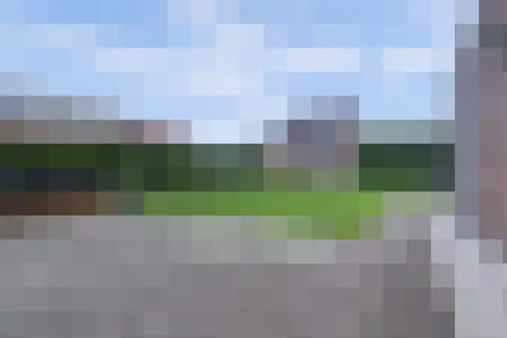 Plataan 3 Cuijk thumbnail 41