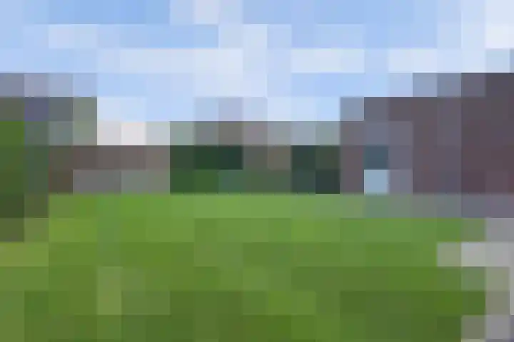 Plataan 3 Cuijk thumbnail 42
