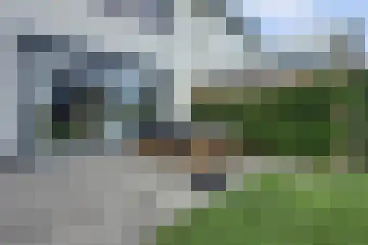 Plataan 3 Cuijk thumbnail 43