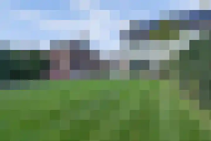 Plataan 3 Cuijk thumbnail 44