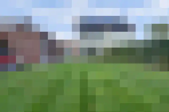 Plataan 3 Cuijk thumbnail 45