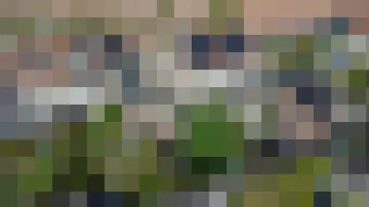 Plataan 3 Cuijk thumbnail 47