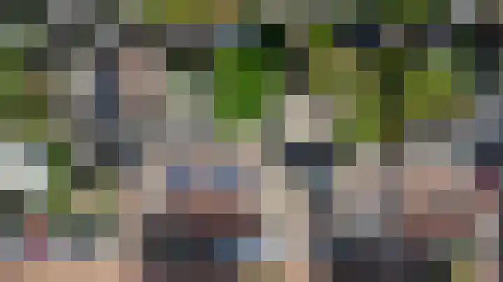Plataan 3 Cuijk thumbnail 48
