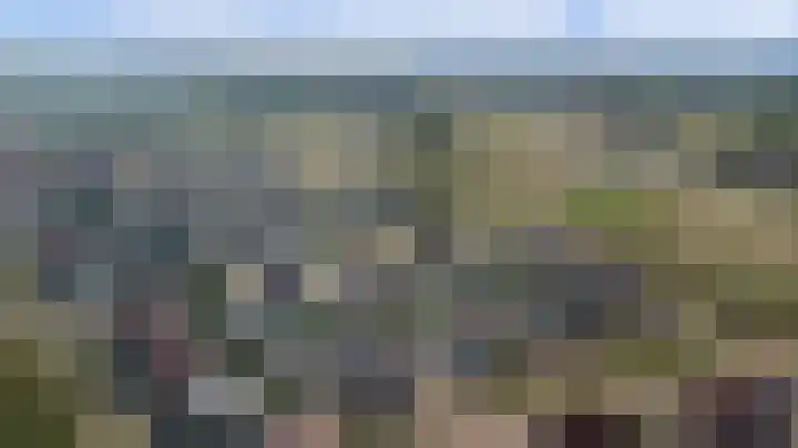 Plataan 3 Cuijk thumbnail 49