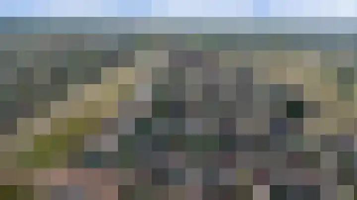 Plataan 3 Cuijk thumbnail 5