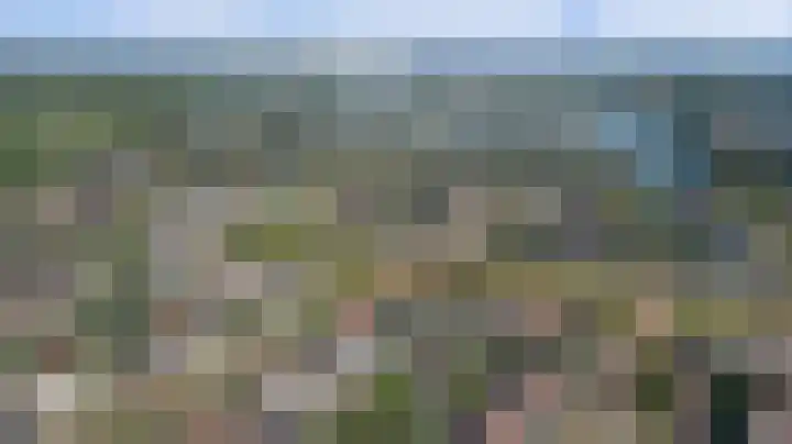 Plataan 3 Cuijk thumbnail 50