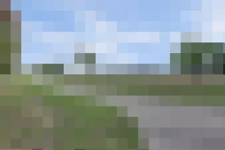 Plataan 3 Cuijk thumbnail 51