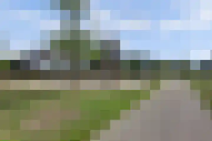 Plataan 3 Cuijk thumbnail 52