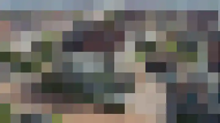 Plataan 3 Cuijk thumbnail 6