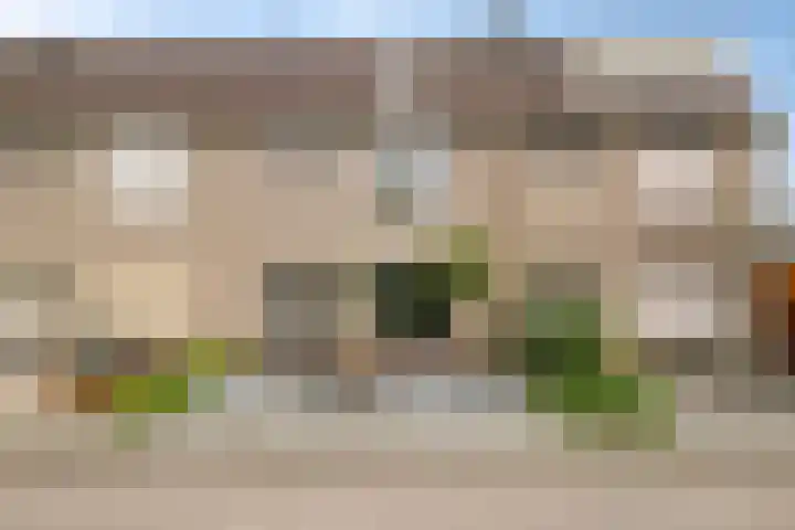 Plataan 67 Best