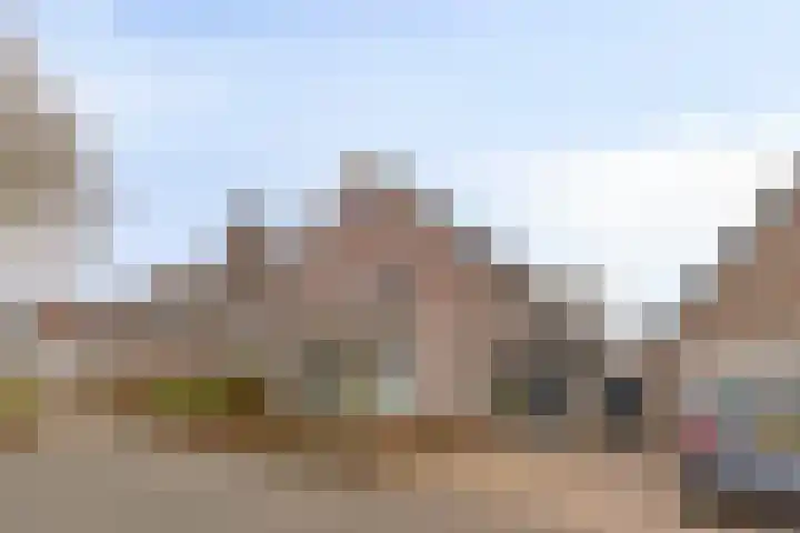 Plataan 74 Mierlo