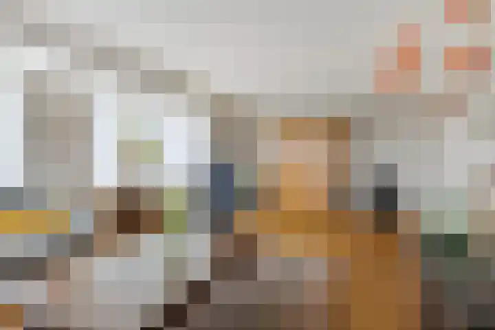 Plataan 74 Mierlo thumbnail 11
