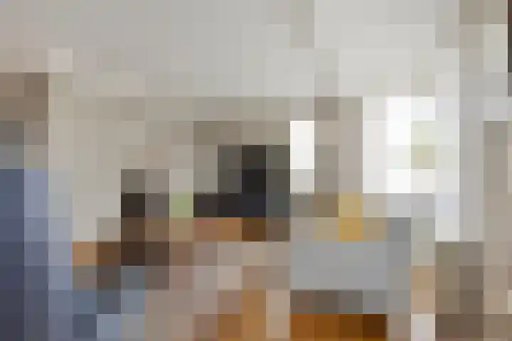 Plataan 74 Mierlo thumbnail 13
