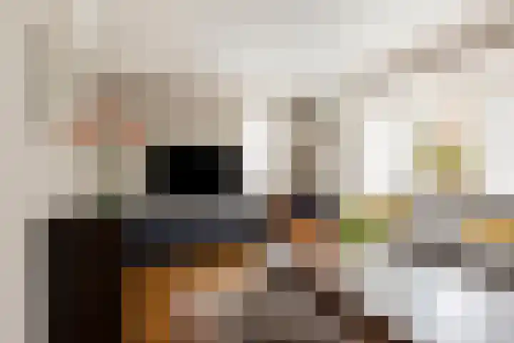 Plataan 74 Mierlo thumbnail 14