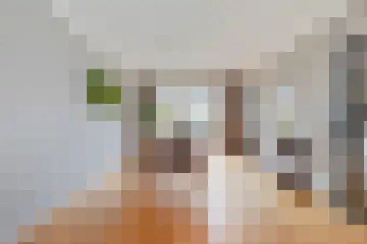 Plataan 74 Mierlo thumbnail 16