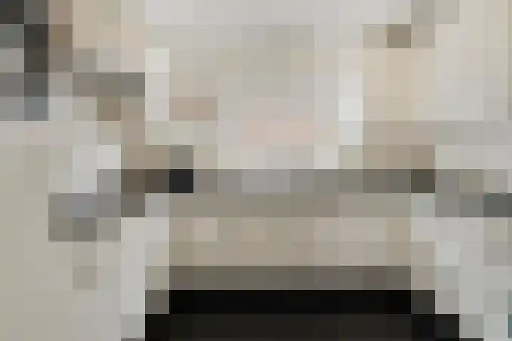 Plataan 74 Mierlo thumbnail 20