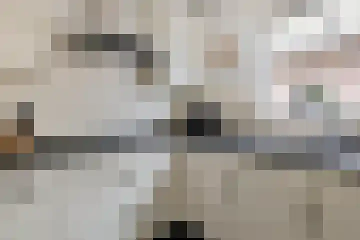 Plataan 74 Mierlo thumbnail 21