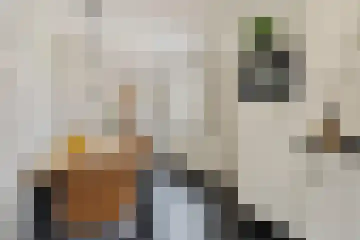 Plataan 74 Mierlo thumbnail 23