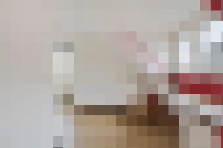 Plataan 74 Mierlo thumbnail 34