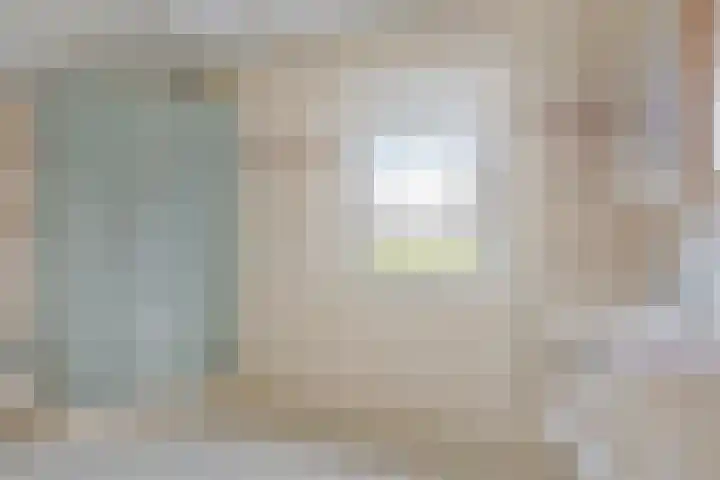 Plataan 74 Mierlo thumbnail 37