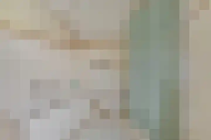 Plataan 74 Mierlo thumbnail 38