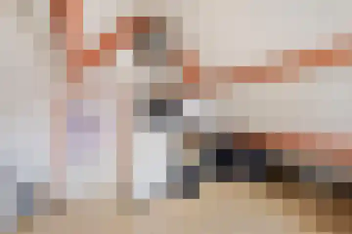 Plataan 74 Mierlo thumbnail 45