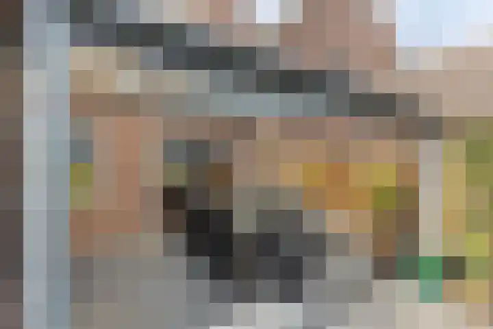 Plataan 74 Mierlo thumbnail 47