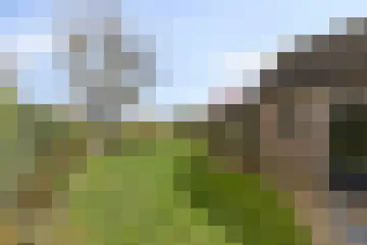 Plataan 74 Mierlo thumbnail 48