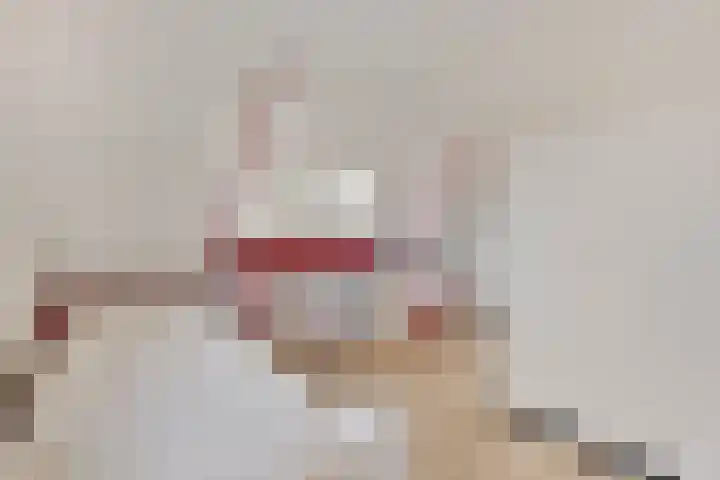 Plataan 74 Mierlo thumbnail 5