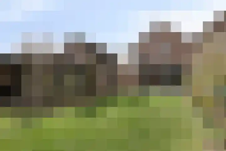 Plataan 74 Mierlo thumbnail 52