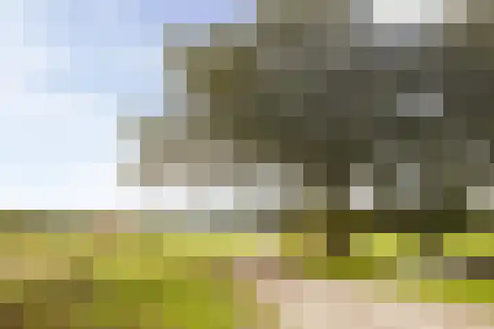 Plataan 74 Mierlo thumbnail 55