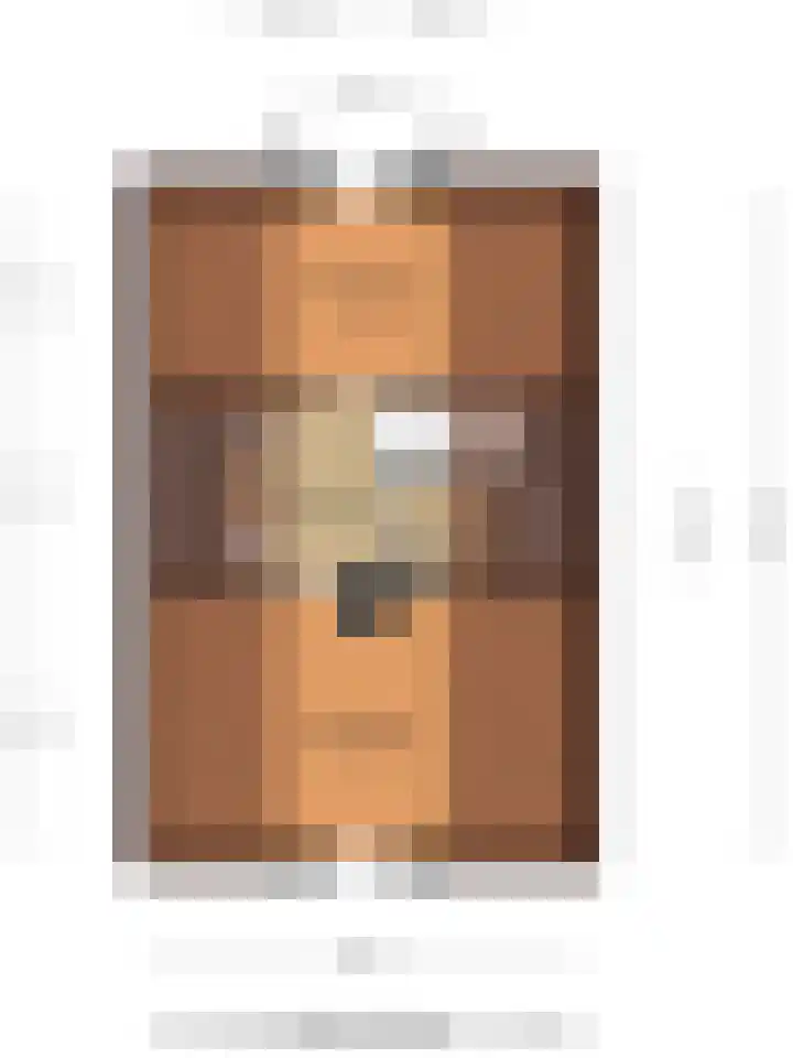 Plataan 74 Mierlo thumbnail 59