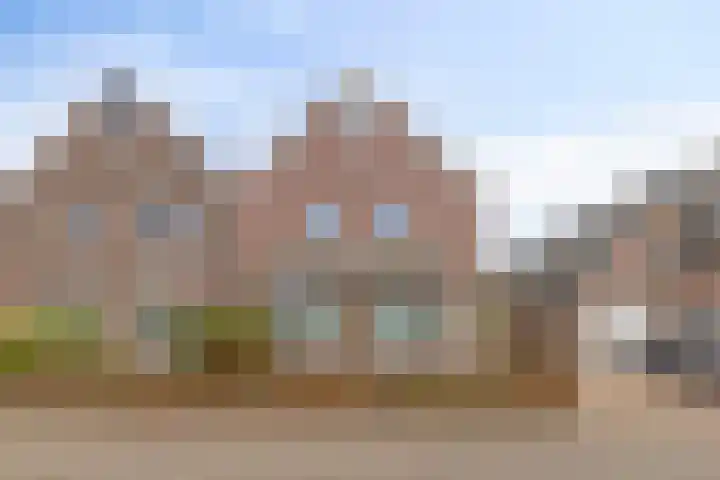 Plataan 74 Mierlo thumbnail 7