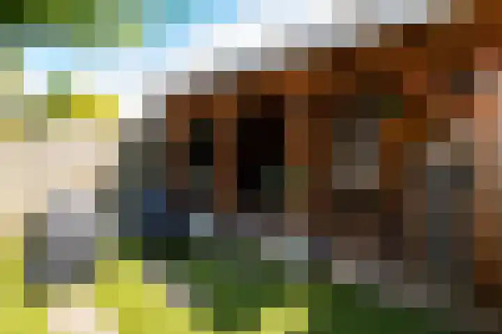 Plataanlaan 14 Baarn thumbnail 13
