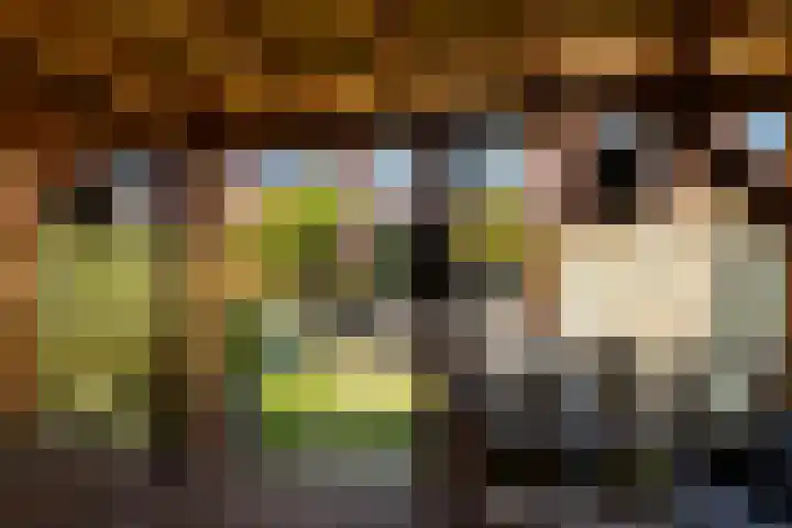 Plataanlaan 14 Baarn thumbnail 14