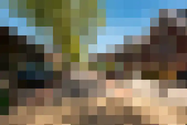 Plataanlaan 14 Baarn thumbnail 35
