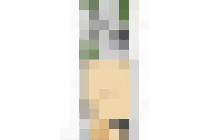 Plataanlaan 14 Baarn thumbnail 42