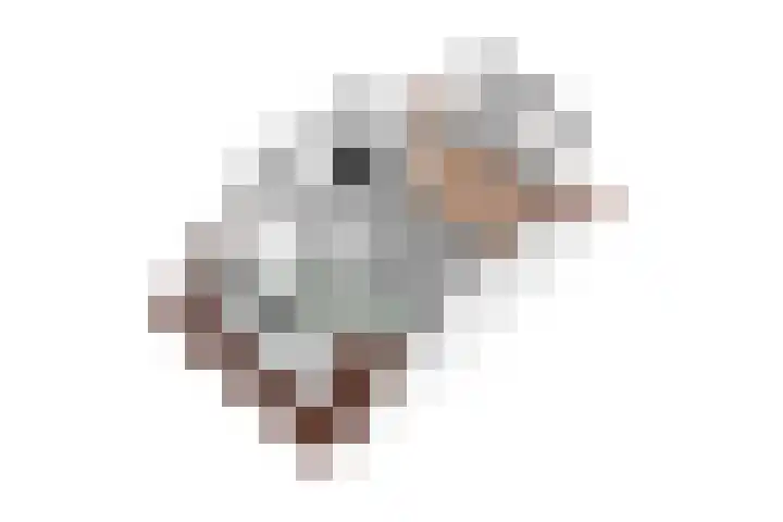 Plataanlaan 14 Baarn thumbnail 47