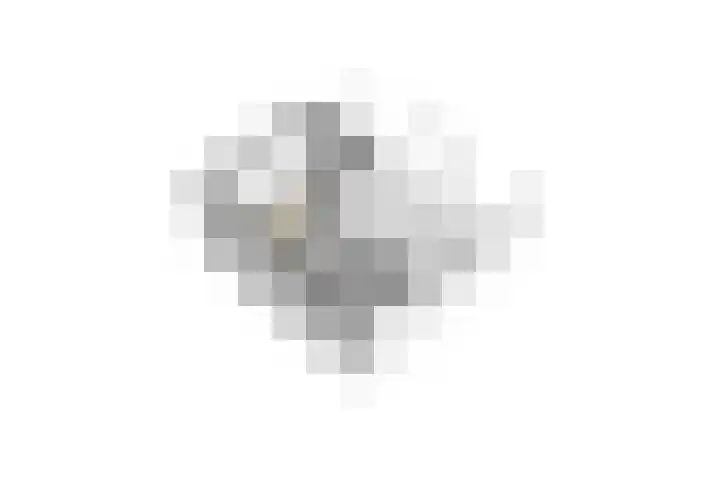 Plataanlaan 14 Baarn thumbnail 52