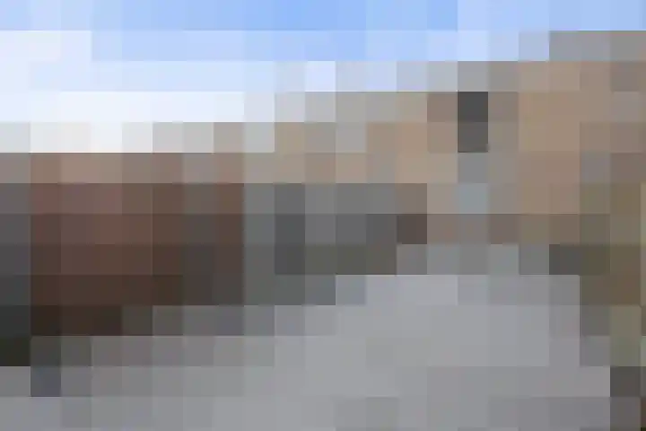 Plataanplein 10 B Drunen thumbnail 11